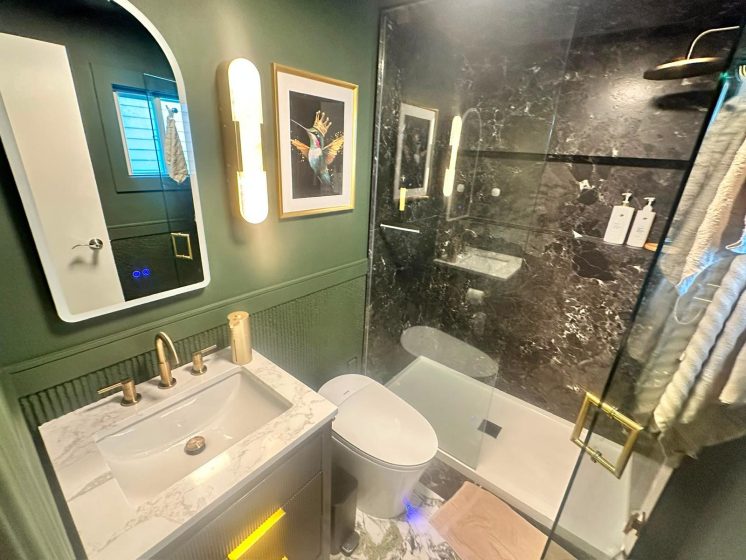 Luxury bathroom renovation in Toronto — black marble, green walls, gold fixtures by ED Plumbing